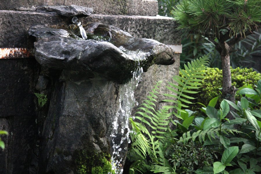 💧 칡덩굴 연못(쓰즈라부치) 이미지 2